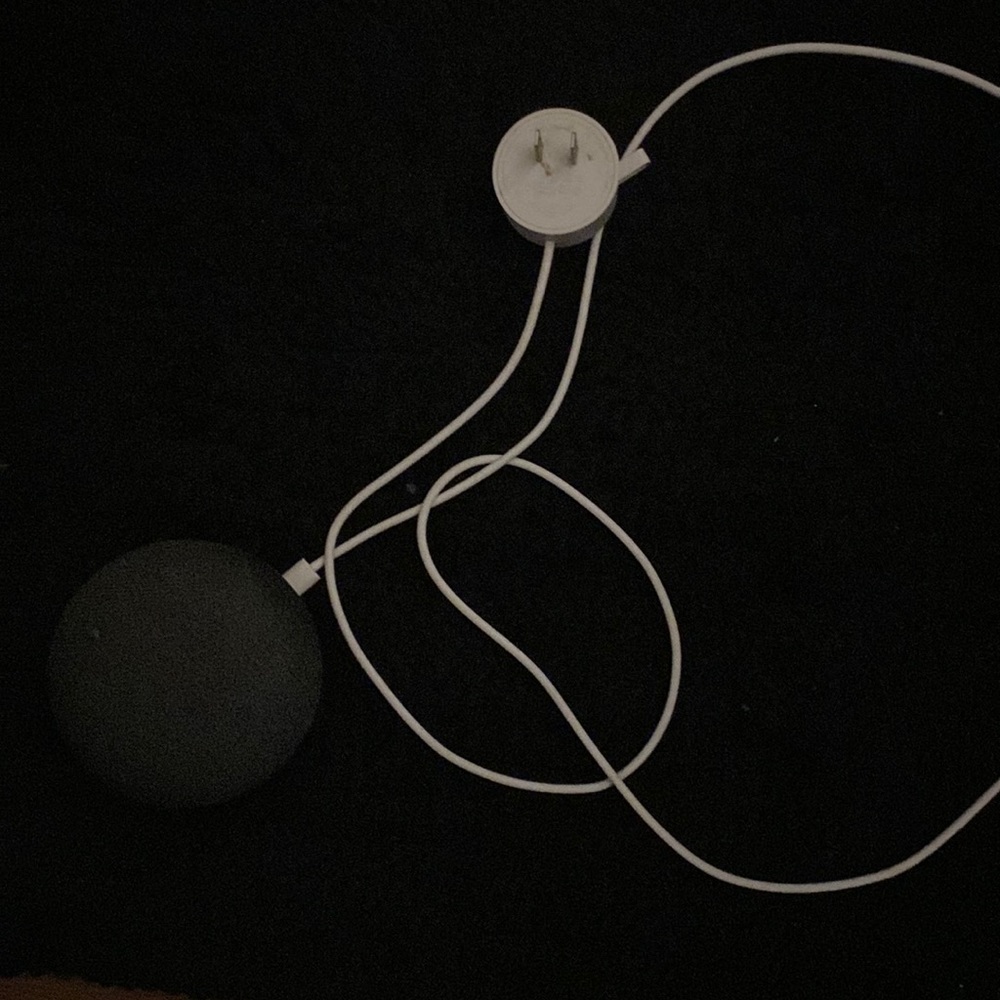 Google home mini